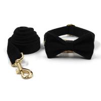 Arnés terciopelo negro, perro duradero personalizado alta calidad con hebillas Metal dorado, Collar y correa para mascotas de - details 6