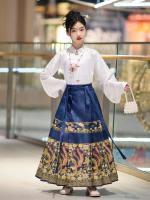 Hanfu para niñas, estilo chino, disfraz Tang para niños con cara de caballo estilo Ming, falda de hada, primavera y otoño, antiguo para niñas - details 13