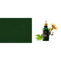 Retinol serum ingredients, including green tea and witch hazel
