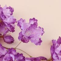 Flor Artificial de Lagerstroemia de 90cm, rama de flores de cerezo de seda elegante de plástico, flor falsa hecha a mano, decoración para balcón - details 6