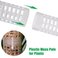 Columna de escalada de plantas, poste de musgo Sphagnum, soporte de cultivo de plantas, soporte de retención de agua, palo de extensión de plantas rico en fertilizante - details 3