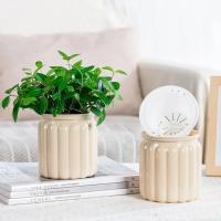 Maceta de plantas hidropónicas de autorriego, Mini maceta suculenta extraíble de plástico, florero de mesa, decoración de bonsái de oficina, nuevo - details 5