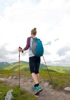 Bastón de Senderismo y Escalada Naturehike con Punta de Acero de Tungsteno y Sección de Aluminio Ajustable y Flexible de 5 Compartimentos - details 5