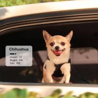 Correa de Tiro de Cuero PU para Perros Conjunto de Correa de Pecho para Gatos, Longitud de 5 Pies, Chaleco para Caminar - details 19