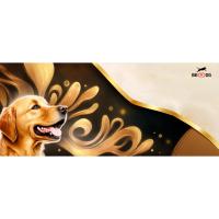 BedDog Zara - Cama para Perros con Funda extraíble y Lavable, sofá para Perros medianos XL - details 0