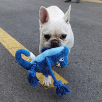 Camaleón de peluche, juguete interactivo extraíble, resistente, con sonido para perros medianos y grandes - details 3