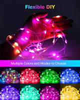 5M Fairy Light Smart Christmas LED Garland Remote Bluetooth APP Control DIY Color Indoor Outdoor Music Sync USB String Light - details 5