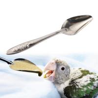 Juego de jeringuillas de acero inoxidable para alimentación Manual de aves, tubos curvados de 6 piezas, 10/20/50ml - details 4