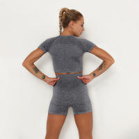 Hamidou-camisetas deportivas de Yoga para mujer, Tops sin costuras para Fitness, ropa deportiva para correr y gimnasio - details 21