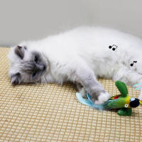 Juguete de peluche interactivo con sonido electrónico de pájaro t para suministros para mascotas de interior - details 3
