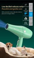 Secador de Pelo de Mascotas de Alta Potencia Fenice Secador de Agua Silencioso para Baño de Perros y Gatos Secado Rápido - details 7