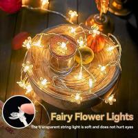 Luz de Bola de Cristal Cálida Blanca Luz Colgante de Hada para Bodas, Fiestas, Aniversario, Día de San Valentín - details 4