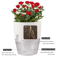 ETA de plástico transparente de doble capa y cuerda de algodón autoabsorbente, ETA perezoso, suministros de jardín, 3 juegos - details 17