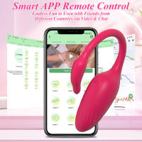 Vibrador inalámbrico con Bluetooth para mujer, masajeador de huevo, estimulador del punto G, Control remoto, bragas para adultos - details 3