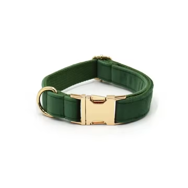 Terciopelo Verde Pavo real Grabado, Conjunto Correa de arnés Perros personalizado, Collar able sin escape para mascotas con - 1