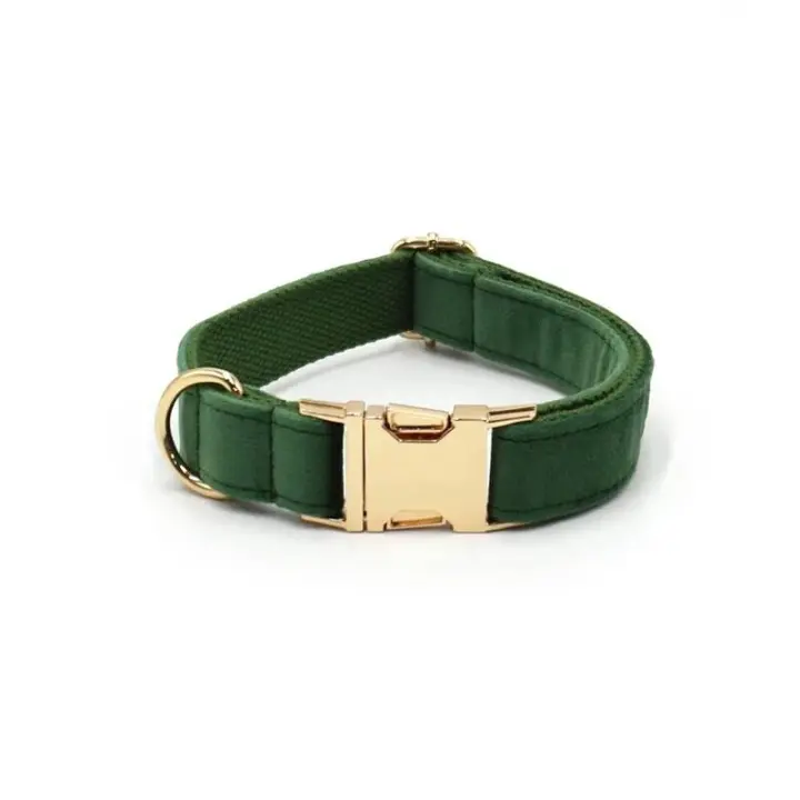 Terciopelo Verde Pavo real Grabado, Conjunto Correa de arnés Perros personalizado, Collar able sin escape para mascotas con - 1