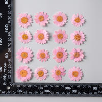 Juego de 12 Uds. De flores secas naturales de 2,5-4cm para rellenos de funda de teléfono DIY, flor de crisantemo de cristal prensado, decoraciones artísticas para uñas - details 11