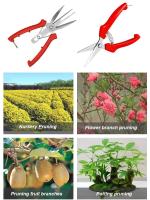 Tijeras compactas de jardín para podar ramas, cortar frutas y flores - details 6