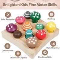 fine motor skill toys
