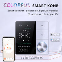 Termostato de aire acondicionado inteligente con WIFI, controlador de temperatura para refrigeración, calefacción, válvula termostática Programable, Google Home, Alex - details 0