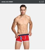 Conjunto de 6 calzoncillos bóxer de algodón para hombre, ropa interior, 95% algodón, 5% elastano, 6 colores a rayas, talla grande europea - details 1