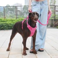Collares personalizados mascotas Collar rosa suave perros con nombre, arnés reflectante sin tirar perros, correa, juego de - details 21
