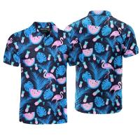 Camisetas de golf de manga corta con estampado 3D de Flamenco para hombre y mujer, polo callejero de moda, Hawaii Beach, camisetas nuevas - details 3