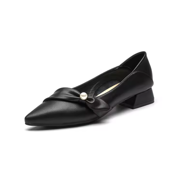 Zapatos Mary Jane de tacón grueso francés para mujer, primavera-verano 2025, nuevo temperamento suave, boca poco profunda, estilo hada, punta puntiaguda. - 1