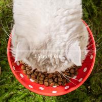 Bol de Gato de Hongo de Cerámica Pie de Alto, 300ml, Adecuado para Gatos - details 9