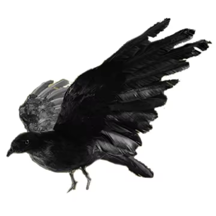 Señuelos de cuervo realistas para decoración de Halloween, pluma negra, adorno de cuervo para exteriores - 1