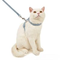 Juego de Arneses y Correa para Conejo Accesorios de Mascota para Paseos al Aire Libre - details 0