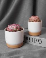 Plástico blanco uso interior, mini macetero floral con agujeros de drenaje jugoso o cactus, para plantas, ETA - details 9