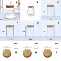 ETA hidropónica transparente para el hogar, minibotella creativa, jarrón de vidrio sin tierra, plantas verdes - details 0