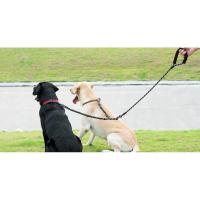 Correa doble perro, correa giratoria 360 sin enredos caminar, cuerda elástica que absorbe los golpes para dos perros - details 11