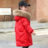 Chaqueta de Moda de Invierno para Niñas Cálida y con Capucha Parka de Algodón para Niñas de 8 a 12 Años - details 9