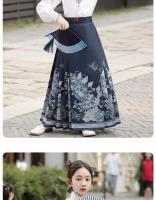 Conjunto de falda con cara de caballo de gama alta, disfraz antiguo de verano para niña pequeña, estilo chino Tang Hanfu, novedad de 2025 - details 7