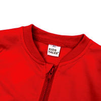 Conjunto de ropa informal para niños y niñas, sudaderas y pantalones deportivos, primavera y otoño, novedad de 2025 - details 6