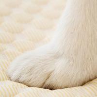 Alfombra refrescante y transpirable para mascotas, suave y cómoda, lavable, para dormir. - details 5