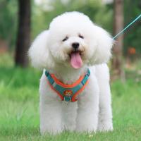 Conjunto de arnés y correa reflectante para perro y gato, chaleco ajustable para caminar al aire libre, perros pequeños y medianos - details 8