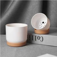Riego automático ETA, absorción automática de luz, ETE jugoso redondo de doble capa, ETA pequeña de planta verde - details 6