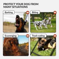 CollarDirect Bozal para Pastor Alemán Dálmata Doberman Setter Cesta de Cuero Razas Medianas Grandes Negro Marrón (M, Castaño - details 3