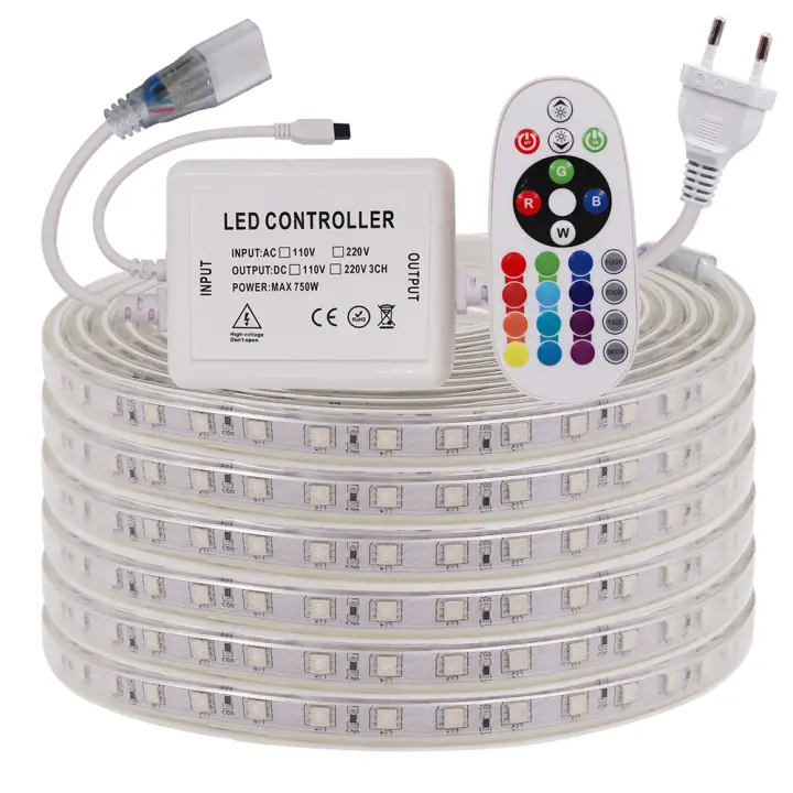 Tira de luces LED resistente al agua para decoración de Exteriores, cinta Flexible de Diodo con Control remoto, SMD 220, 60LED/m, 240V, 5050 V - 1