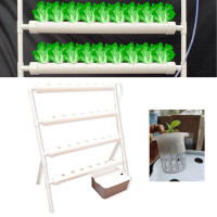 Kit de cultivo de Sistema hidropónico, tubería idroponico de PVC, sin tierra, 36 agujeros - details 3