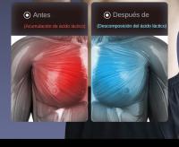 Pistola de Masaje Muscular , Masajeadora Corporal con 6 Niveles Ajustables, Potente, Ultra Silenciosa, 4 Cabezas de Masaje para Relajación, Recuperación y Alivio de Fatiga - details 5