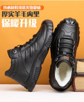 750_08.jpg