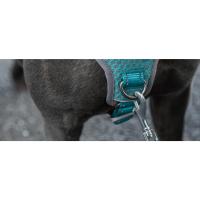 arnés para perros