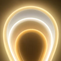 Tira de luces LED COB de 220V, 288led/m, luz de neón con WIFI, Control remoto de 23 teclas, 3000K, 4000K, 6000K, Kit de enchufe de alimentación de la UE - details 12