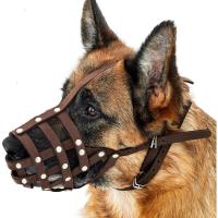 CollarDirect Bozal para Pastor Alemán Dálmata Doberman Setter Cesta de Cuero Razas Medianas Grandes Negro Marrón (M, Castaño - details 0