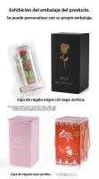 Lámpara Decorativa de Vidrio con Rosa Eterna Diseño Boho Chic para Dormitorio/Sala de Estar - details 9