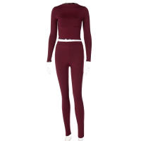 Conjunto deportivo de dos piezas de manga larga, nuevo traje informal de moda para mujer - details 118